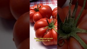 Эти томаты потрясающе вкусные, а еще яркие и красивые! Точно стоит посеять!