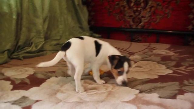 MVI 0553 смотреть онлайн