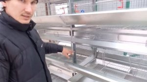 Клеточная батарея для бройлеров  За минуту до отгрузки 1