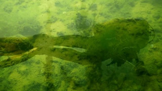 Амерьевский Доломитовый Карьер смотреть онлайн