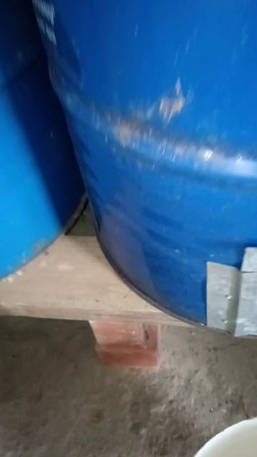 Своих парасюков кормлю только зерновыми высшего сорта. Бочка с задвижкой самодельная смотреть онлайн