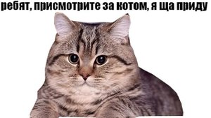 Сталкер 2 | Идем в Градирни? | №41 #stalker #stalker2 #сталкер #игры прохождение на русском
