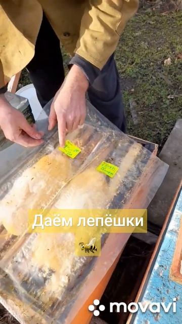 ❗Время давать лепешки пчелам 18.01.2024 #пасека #пчеловодство #хобби #пчелы #мёд смотреть онлайн