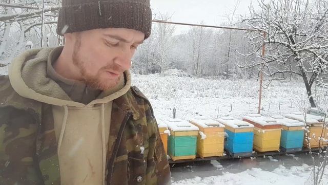 ❗ПРОБЛЕМЫ НА ПАСЕКЕ. РАСПЛОД В ЯНВАРЕ и мыши. 12.01.2024 #пчеловодство #пчелы #пасека #хобби смотреть онлайн