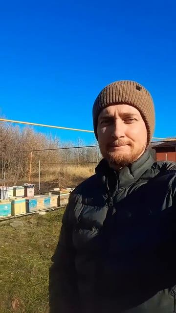 ВЕСНА В ЯНВАРЕ❗️ 10.01.2025 #bee #пчёлы #пчеловодство #пасека #пчелопакеты смотреть онлайн