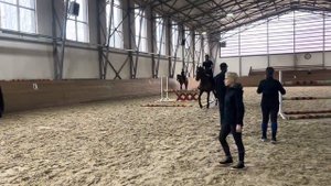 Как приучить лошадь к страшным барьерам _ ПРЫГАЕМ ЧЕРЕЗ ЧЕЛОВЕКА