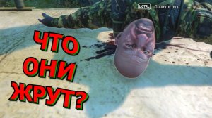 🍀💥Стрём на Стриме [31]💥Лучшие моменты трансляций💥🍀Sniper: Ghost Warrior 3🍀РАЗНЫЕ ВКУСЫ🍀