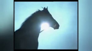 Валерий Меладзе - Иностранец | Клип 2005 года | Тональность -7