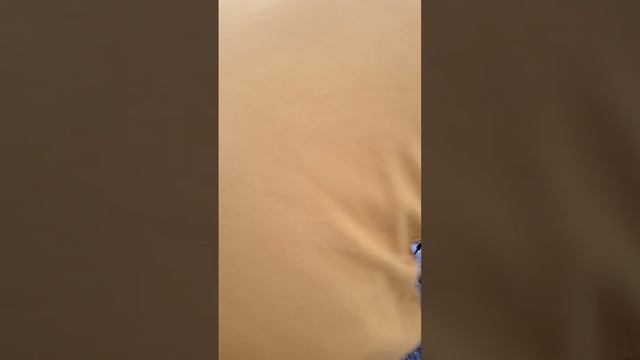 Кроме крупы привезли воротник для собак от Владимира К., спасибо!
