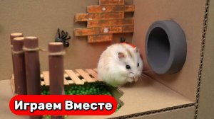 СТРАШНЫЙ ЛАБИРИНТ для Умного Хомяка ! Видео для детей ! Выбираемся вместе через ловушки !