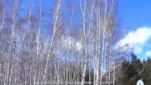 Кватро. "Мишель"