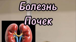Хроническая Болезнь Почек (ХБП)