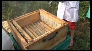 Сотовый мёд в мини рамках.