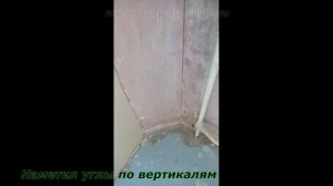 второй видеоотчёт