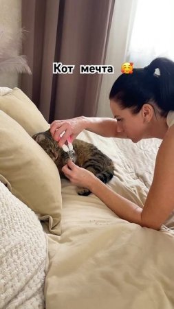 А ваши коты дают стричь когти?
