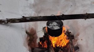 Варим пельмени в лесу