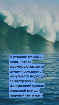 Цунами за 60 секунд: Как Океан Становится Убийцей