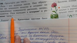 Русский язык 4 класс, 2 часть, упр.88 (89), стр.42