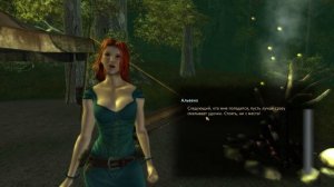 Чащобы и болота Блютберга | Прохождение Drakensang: The Dark Eye | Серия #30