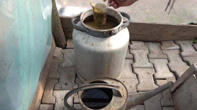 САДЖАЄМО ПЕРЕЦЬ НА РОЗСАДУ ДУЖЕ ВАЖЛИВІ НЮАНСИ