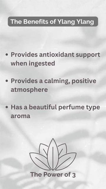 The Benefits of Ylang Ylang #health #wellness #doterra #essentialoils #ayurvedalifestyle