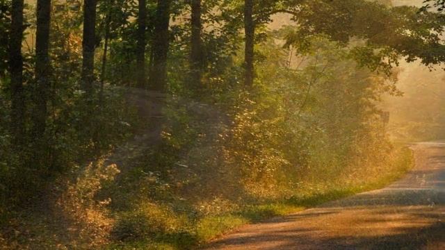 Александр Суханов "Дорога". Слова, музыка и исполнение - Александр Суханов. Видеоклип Т. Комраковой смотреть онлайн