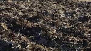 На Ставрополье выявили незаконную распашку земель