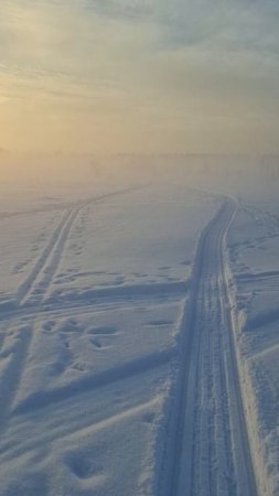 Выбрался в деревню и сразу...