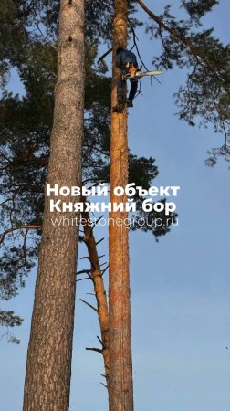 🔝 Начинаем новый объект - одноэтажный дом площадью 400м в КП "Княжий Бор"