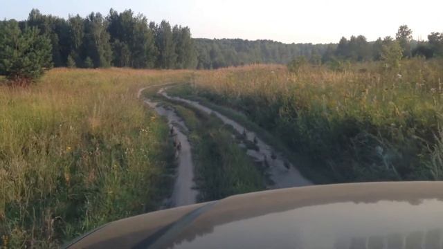 Встреча со стайкой куропаток на дороге в пойме р. Оки смотреть онлайн