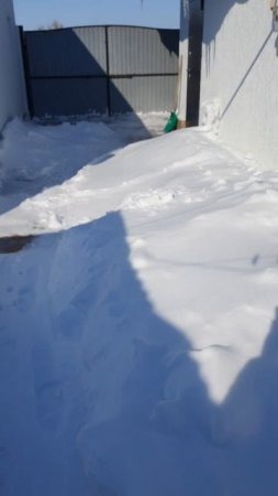 Весна🌞 Сосульки❄️ Нервы 😂