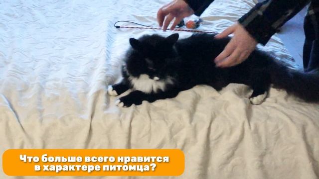 В гостях у Дакоты! смотреть онлайн