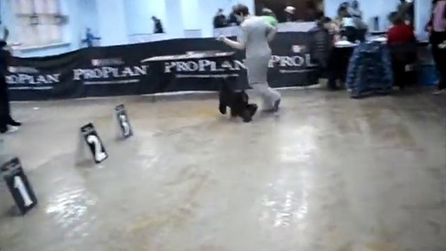 SDC14906 смотреть онлайн