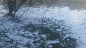 природа зимой в картинах художников и произведениях