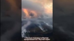 Лесные пожары в Якутии продолжаются. Якутия горит