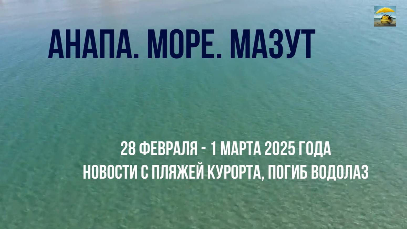 Анапа 28 февраля - 1 марта 2025 года, трагедия в море, новости с пляжей, нужны птичьи волонтеры