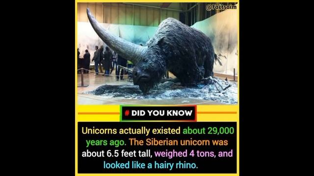 Incredible Animation Shows How Humans Evolved From Early Life смотреть онлайн