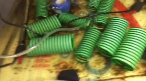 Бизнес на раках. Удачный эксперимент .