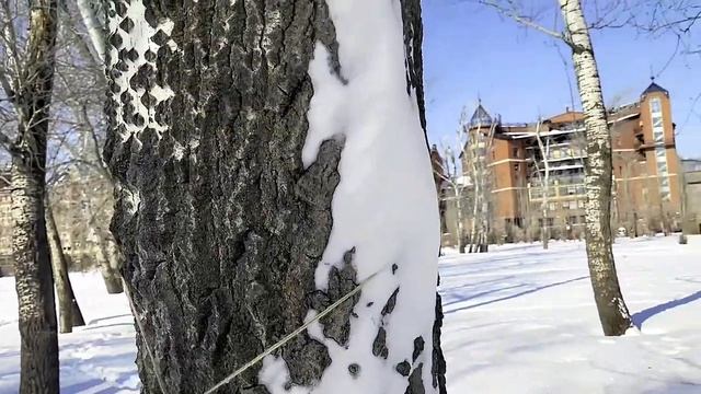 Первый день весны Прогулка Оренбург Видео Виктор Поживин 1 03 25