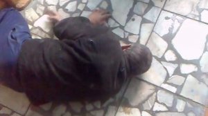 Алкаша (торчка) прет как суслика