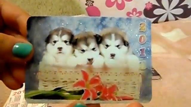Моя коллекция календариков!