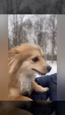 на рыбалку))))