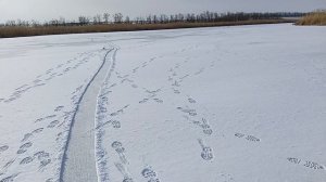 С жерлицами на щуку "разведка"