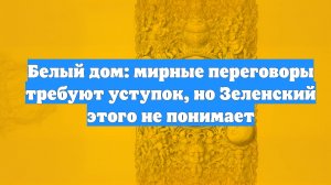 Белый дом: мирные переговоры требуют уступок, но Зеленский этого не понимает