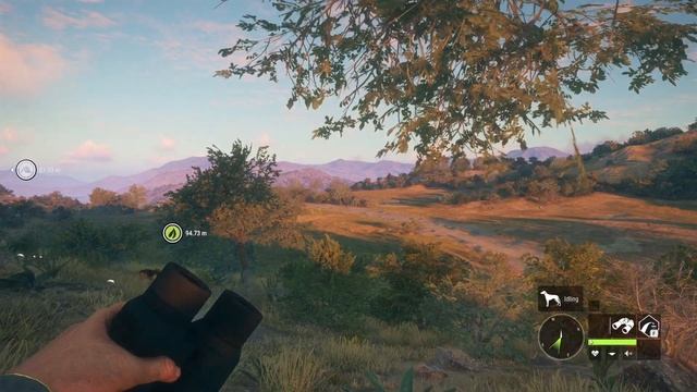 theHunterCOTW Diamond Coyote Hunt on Rancho #cotw #thehuntercotw #thehuntercallofthewild