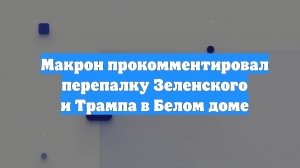 Макрон прокомментировал перепалку Зеленского и Трампа в Белом доме