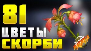 ЦВЕТЫ СКОРБИ Геншин Где найти цветы скорби гайд маршрут сбор Genshin impact