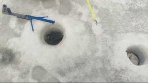 WhatsApp Video 2025-03-01 at 10.00.23