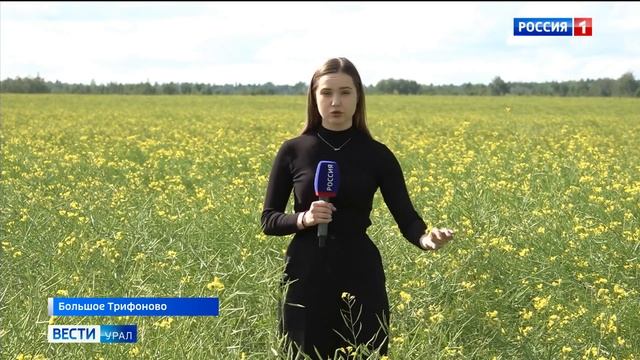 Массовый мор пчел случился в нескольких селах Артемовского района
