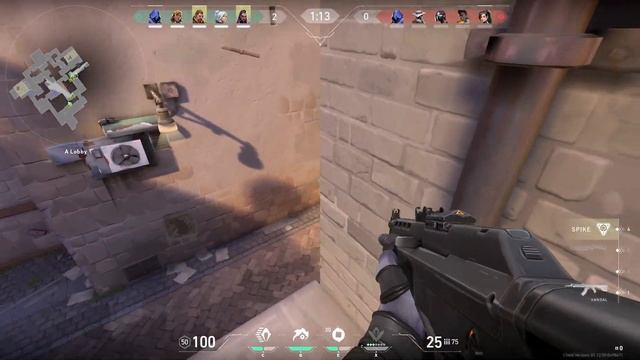 PLAYING WITH PROFESSIONAL SQUAD  GAMING WIZARD